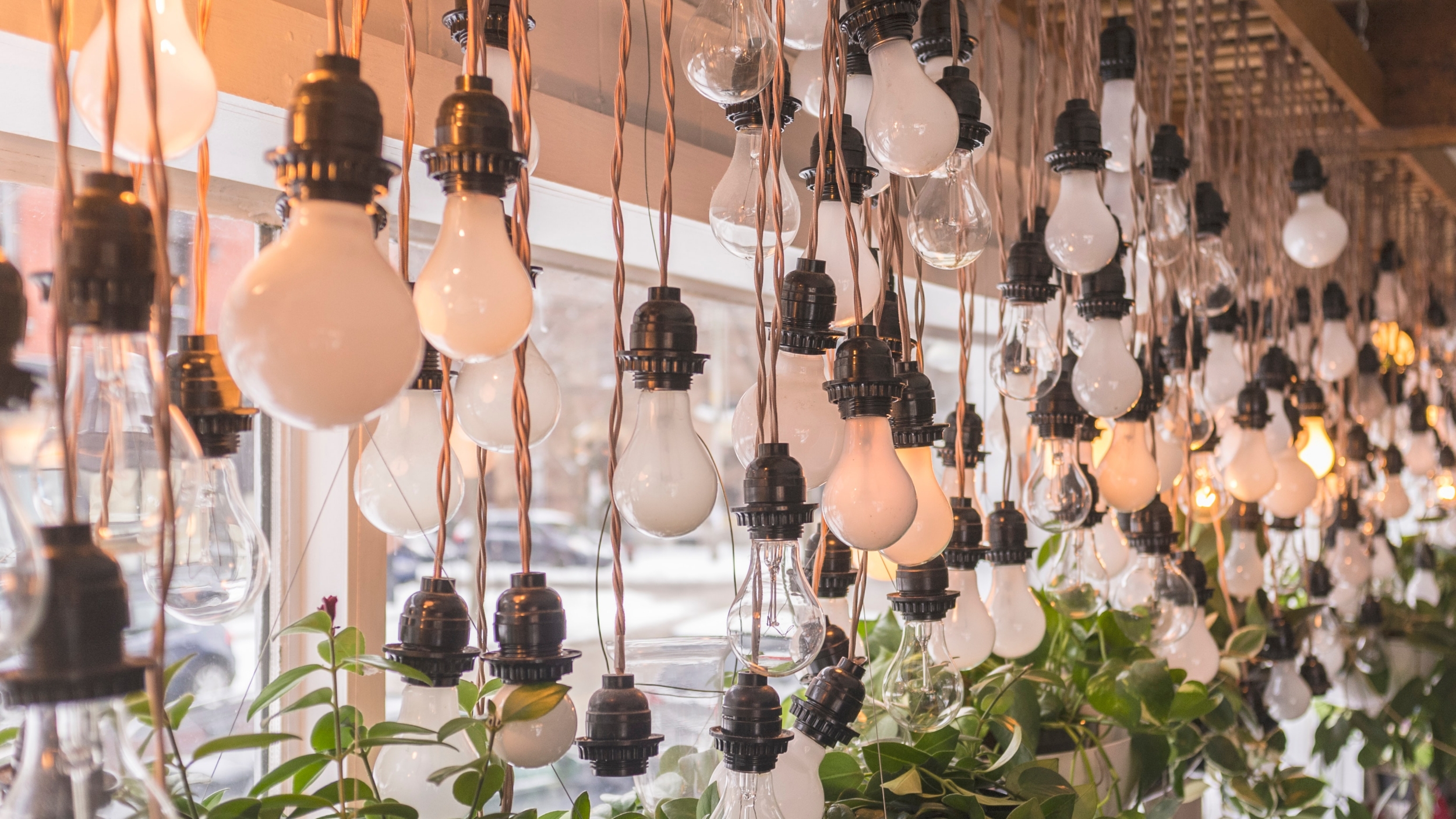 Dozens of hanging lightbulbs