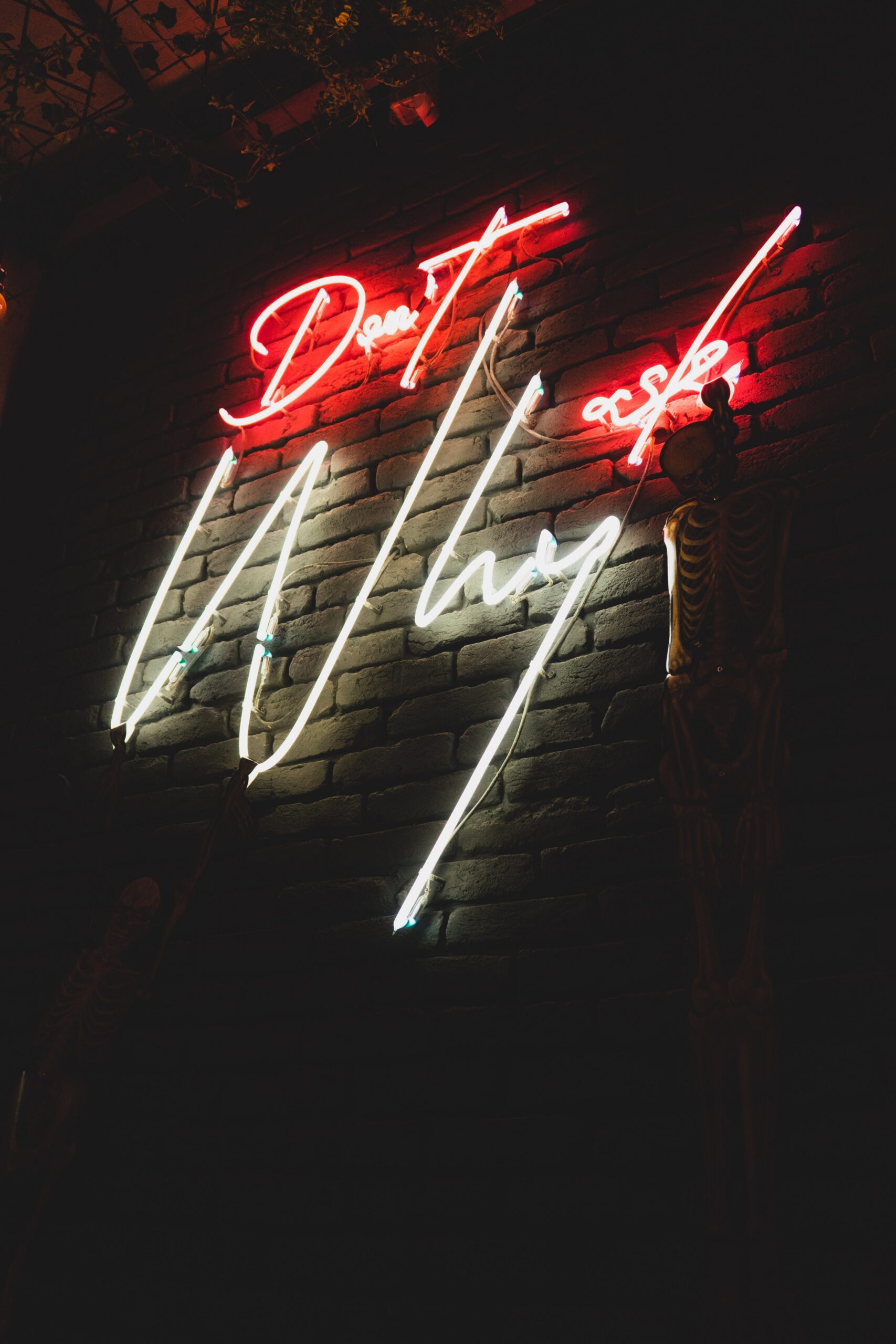 Neon sign that spells "Don't ask Why"