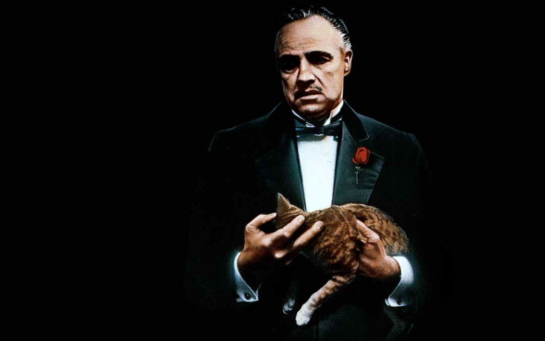 Don Corleone from The Godfather holding a cat