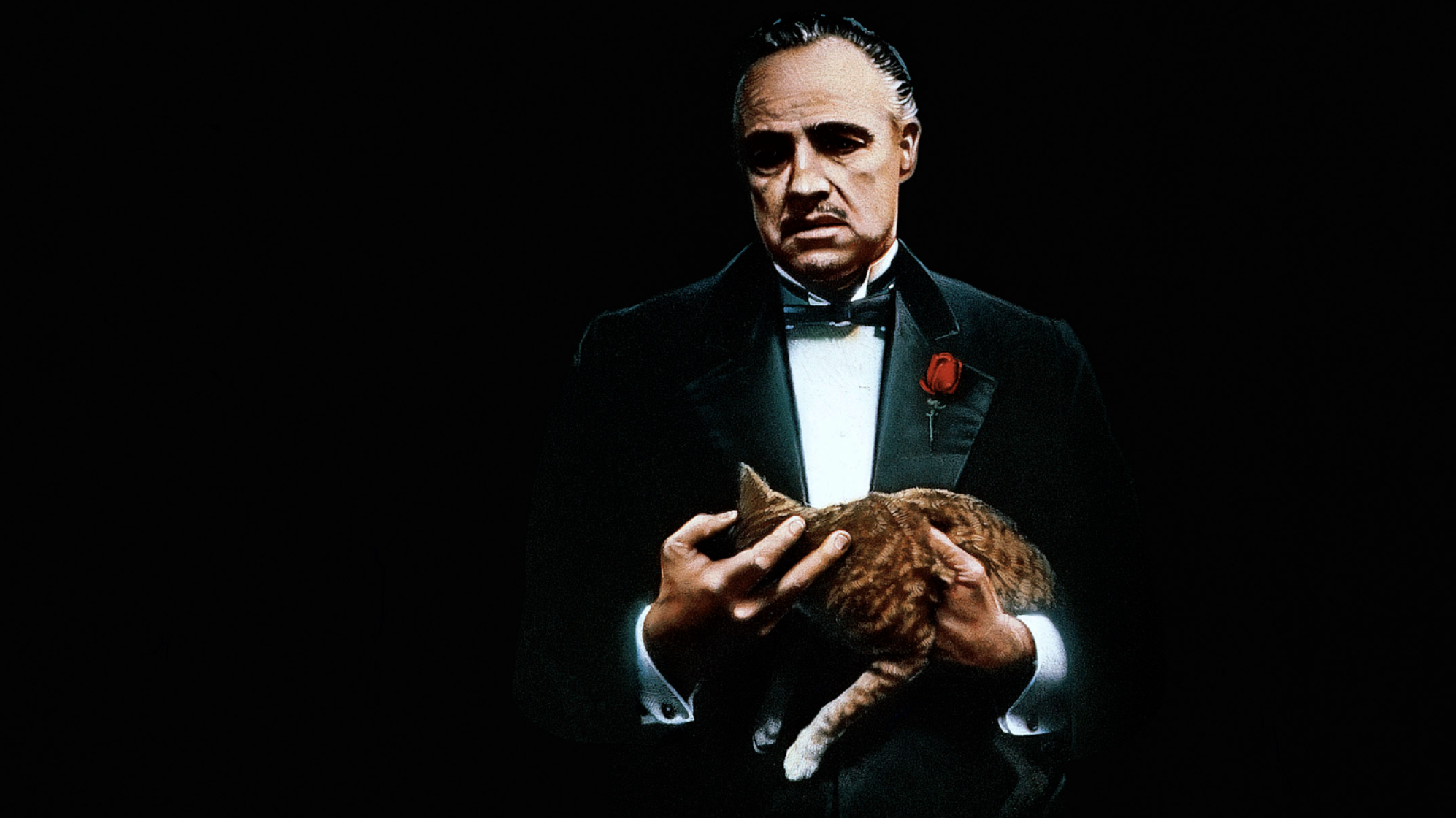 Don Corleone from The Godfather holding a cat