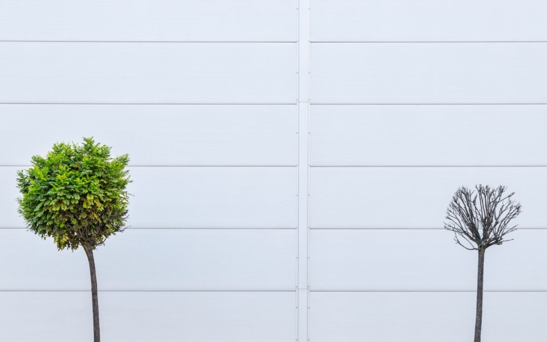 Two trees against a white wall. One tree is green and thriving, the other is bare and dying