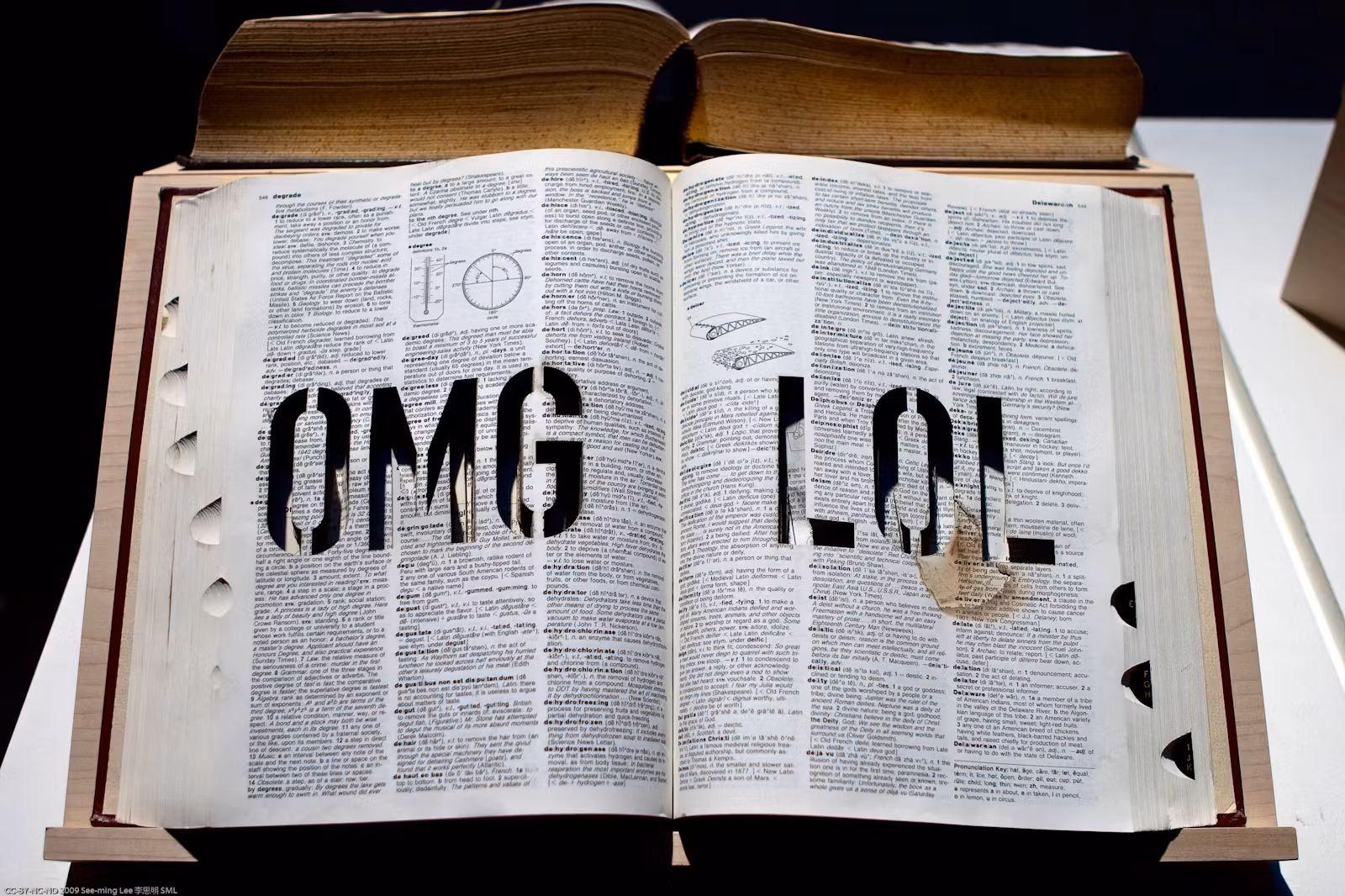 Dictionary with OMG and LOL carved in the pages