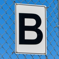B - cropped and resuzed