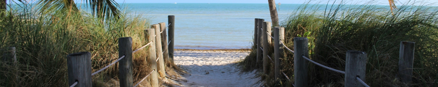 Path to a clearing on a beach